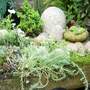 Alpine_trough