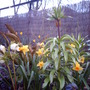 March14_006