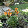 Apr_5_003
