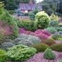 Garden_view__4