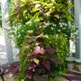 Picture_006