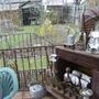 Back Garden April 2008