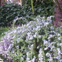 Pict0779