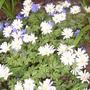 Pict0777