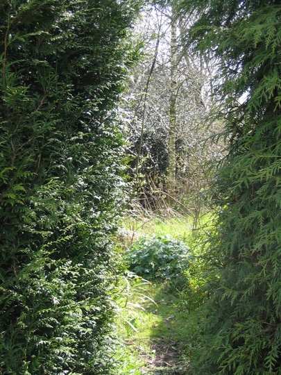 My Secret Garden Beckons