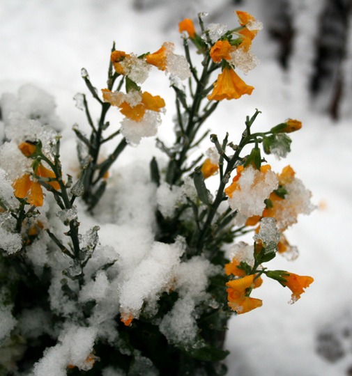 a winters day
