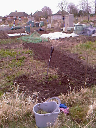 Just started digging