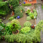 Imgp0064
