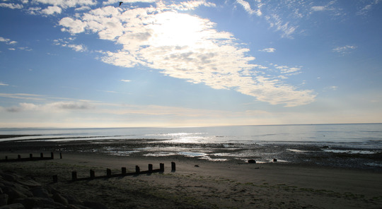 Newcastle, Beach