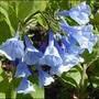 Images2