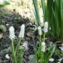 Apr_16_007