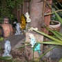 April_2008_007