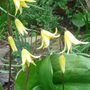 Dsc00758