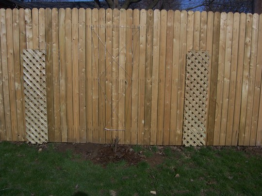 Fence/trellis