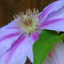 _texas_024