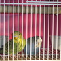 Img_2499