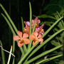 _philippines_004