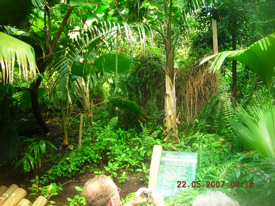 DSCN1288.jpg