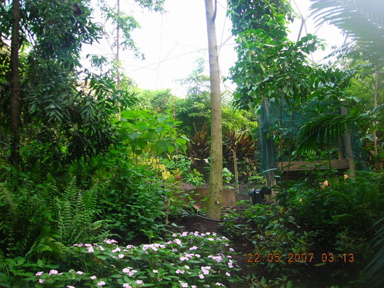 DSCN1289.jpg