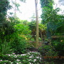 Dscn1289