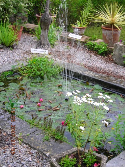 Milton Pond.jpg