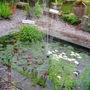 Dscn0985