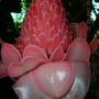 Dscn1292
