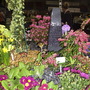 Dundeeshowdisplaywater