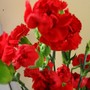 Img_0413