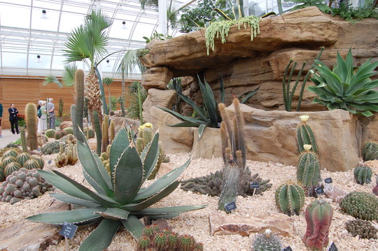 The Dry Temperate Zone