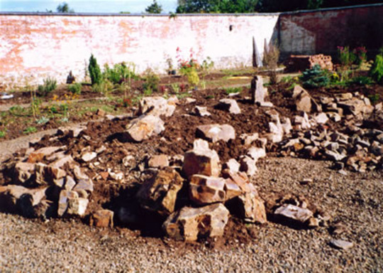 The rockery