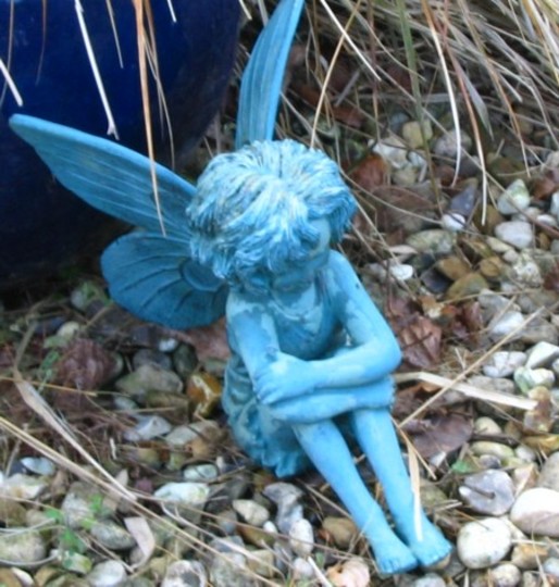 Fairy