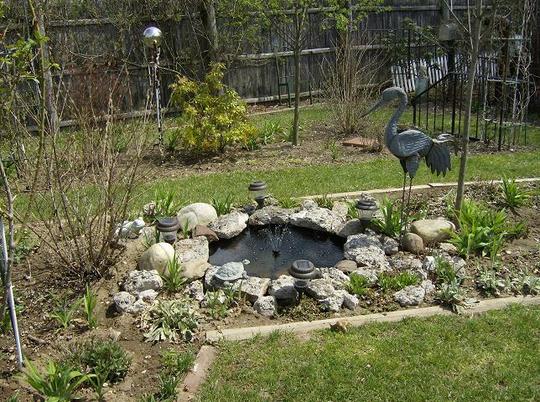 Pond - April 2008