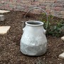 Milk bucket (before) (Bidens ferulifolia Solaire & Sutera Cabana)