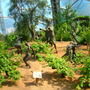 Dscn1327