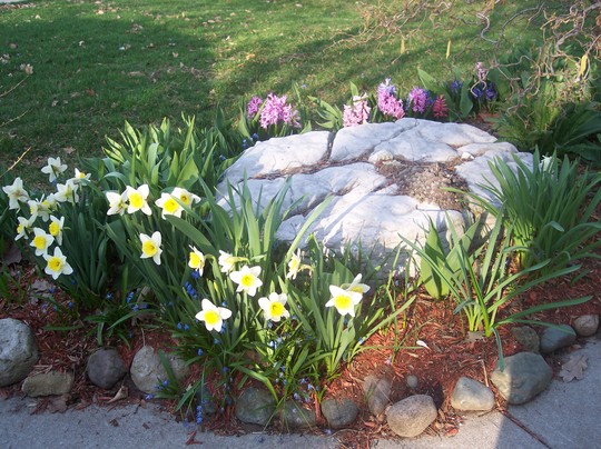 Spring front bed