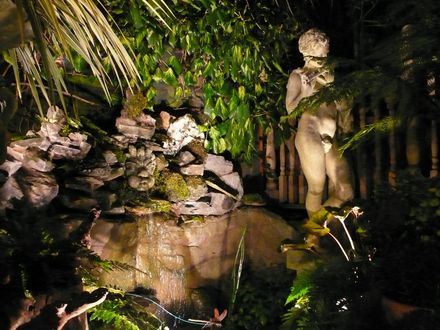 The garden at night
