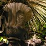 Garden_at_night_022