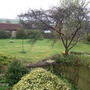 Front_garden_from_bedroom_window