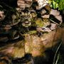 Water_cascade_at_night