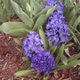 2008-04-21_015