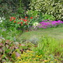 Front_garden