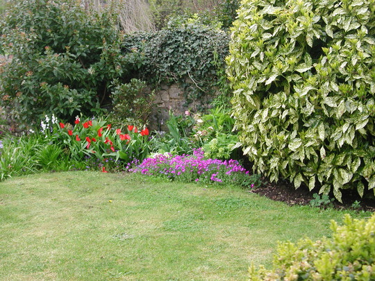 Front garden