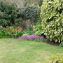 Front_garden_2