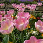 Dscn1674
