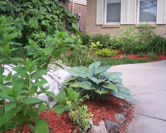 Front garden