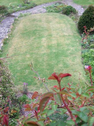 L-hand lawn - before!