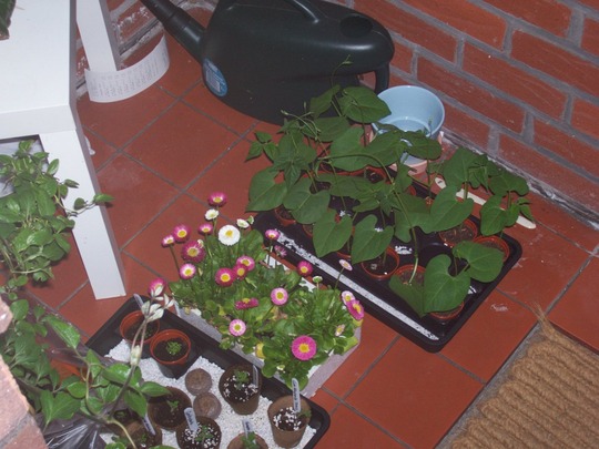 2204porch.jpg