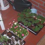 2204porch