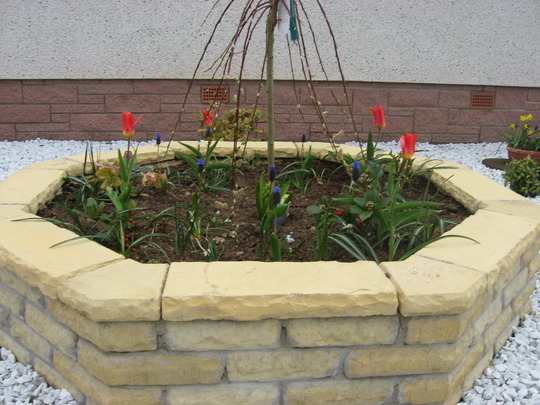 Raised Bed